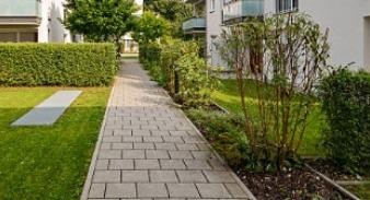 Anti-termite Treatment